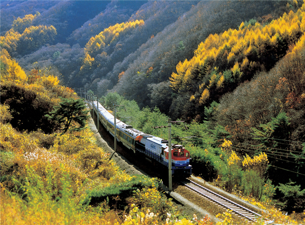 죽령옛고개마을